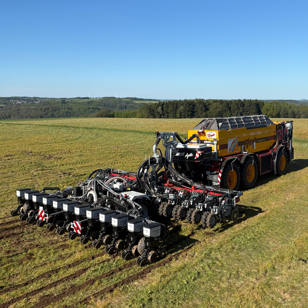 Guwllestriptill Mais 1332