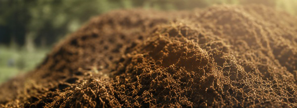 separierung_platzhalter_600x220